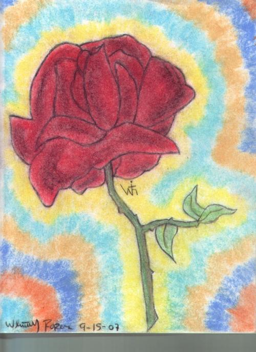 drawing