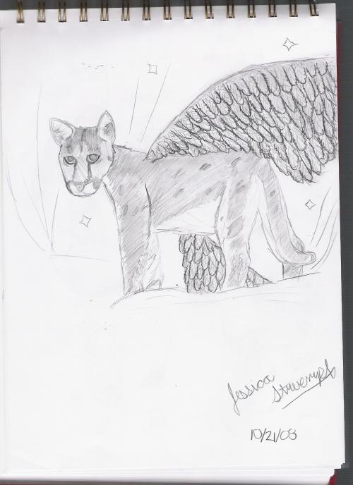 drawing