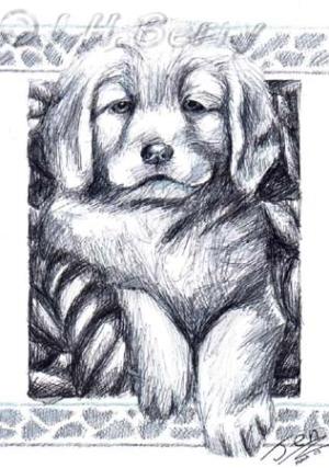 <img300*0:http://elftown.heddate.com/img/drawing/20576_1112191095.jpg>