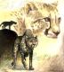 <img0*80:http://elftown.heddate.com/img/drawing/20576_1122121348.jpg>