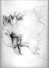 <img100*0:http://elftown.heddate.com/img/drawing/21398_1150506046.jpg>