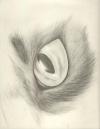 <img100*0:http://elftown.heddate.com/img/drawing/21398_1159585898.jpg>