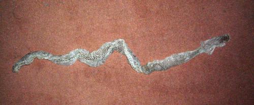 <img:http://elftown.heddate.com/img/drawing/24454_1092685454.jpg>