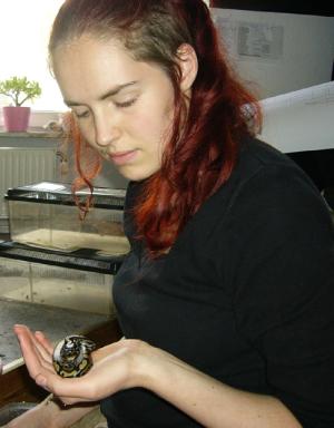 <img300*0:http://elftown.heddate.com/img/drawing/24454_1157201441.jpg>