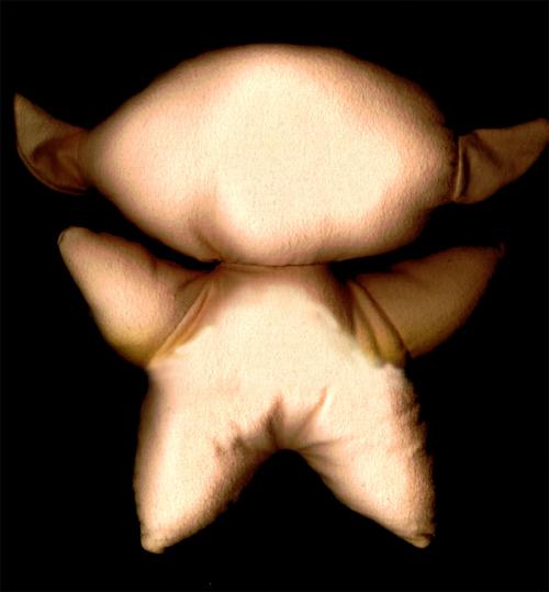 <img:http://elftown.heddate.com/img/drawing/2706_1090199432.jpg>