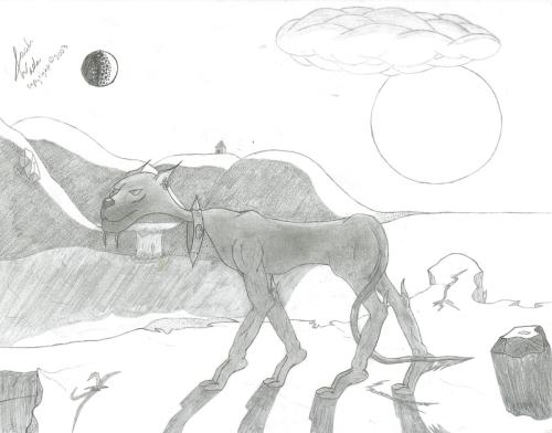 drawing