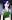 <img0*20:http://elftown.heddate.com/img/drawing/27563_1105152900.jpg>