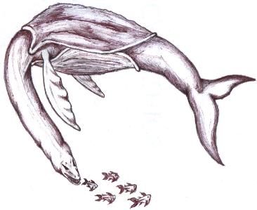 <img:http://elftown.heddate.com/img/drawing/27763_1091059330.jpg>