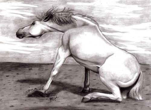 <img:http://elftown.heddate.com/img/drawing/35723_1127757471.jpg>