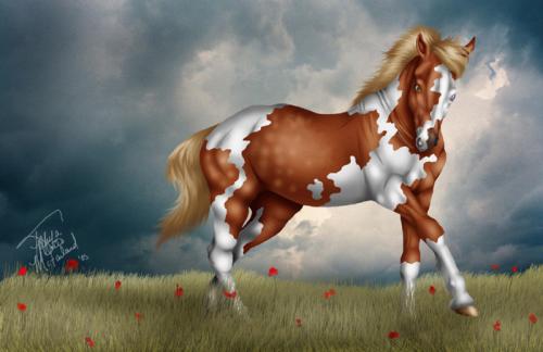 <img:http://elftown.heddate.com/img/drawing/35723_1130088438.jpg>