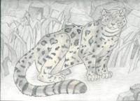 <img200*0:http://elftown.heddate.com/img/drawing/37513_1235298273.jpg>