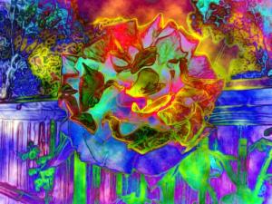 <img300*0:http://elftown.heddate.com/img/drawing/37982_1080957621.jpg>