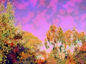 <img300*0:http://elftown.heddate.com/img/drawing/37982_1082081029.jpg>
