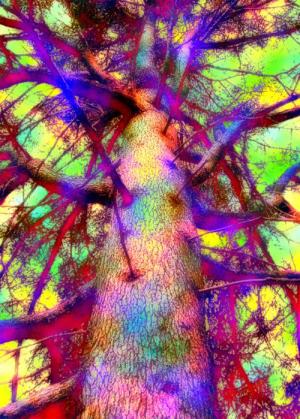 <img300*0:http://elftown.heddate.com/img/drawing/37982_1098173809.jpg>