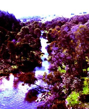<img300*0:http://elftown.heddate.com/img/drawing/37982_1098174408.jpg>