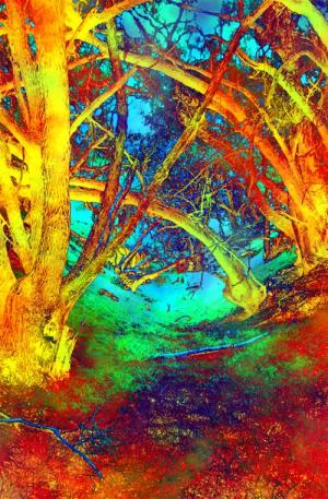<img300*0:http://elftown.heddate.com/img/drawing/37982_1120565019.jpg>