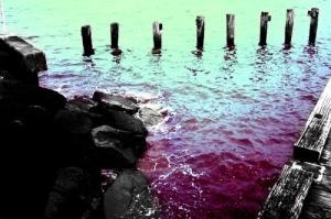 <img300*0:http://elftown.heddate.com/img/drawing/37982_1145601980.jpg>