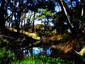<img300*0:http://elftown.heddate.com/img/drawing/37982_1160310153.jpg>