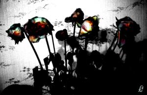 <img300*0:http://elftown.heddate.com/img/drawing/37982_1166436113.jpg>