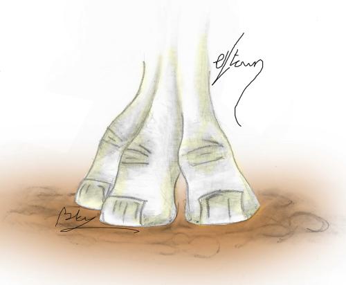 <img:http://elftown.heddate.com/img/drawing/3970_1094900579.jpg>
