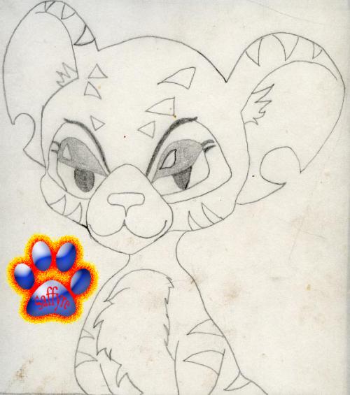 drawing