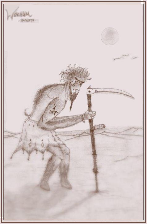 drawing