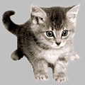 <img:http://elftown.heddate.com/img/drawing/43898_1092699227.gif>