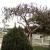 <img50*50:http://elftown.heddate.com/img/drawing/4431_1174424088.jpg>