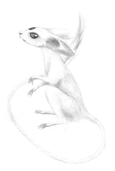 <img:http://elftown.heddate.com/img/drawing/4436_1083803805.jpg>