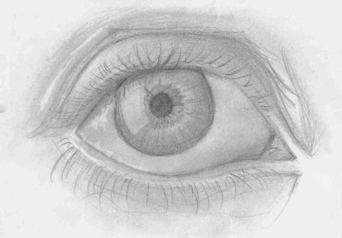 drawing