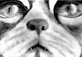 <img0*200:http://elftown.heddate.com/img/drawing/46887_1111154576.jpg>