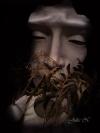 <img100*0:http://elftown.heddate.com/img/drawing/47803_1232345059.jpg>
