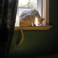 <img200*0:http://elftown.heddate.com/img/drawing/49339_1242942333.jpg>