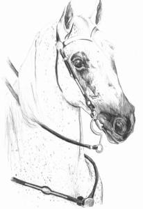 <img:http://elftown.heddate.com/img/drawing/50581_1081219348.jpg?y=300>
