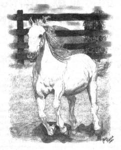 <img:http://elftown.heddate.com/img/drawing/50581_1081219907.jpg?y=300>