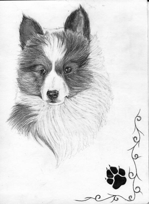 <img:http://elftown.heddate.com/img/drawing/5120_1102468127.jpg>
