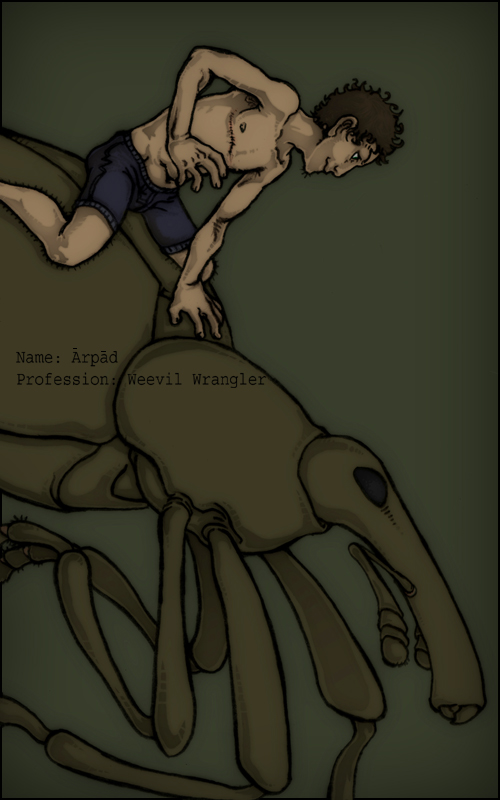 drawing