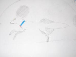 <img300*0:http://elftown.heddate.com/img/drawing/53079_1101169053.jpg>