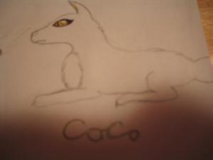 <img300*0:http://elftown.heddate.com/img/drawing/53079_1118806041.jpg>
