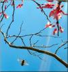<img100*0:http://elftown.heddate.com/img/drawing/57131_1177881232.jpg>