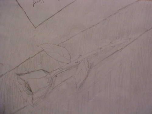 drawing