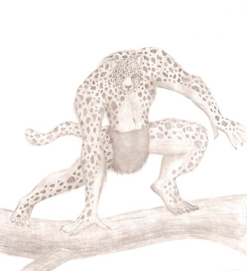 <img:http://elftown.heddate.com/img/drawing/60827_1141094534.jpg>