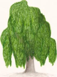 <img200*0:http://elftown.heddate.com/img/drawing/60827_1147555824.jpg>