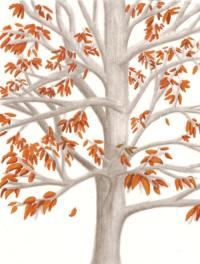 <img200*0:http://elftown.heddate.com/img/drawing/60827_1147555917.jpg>