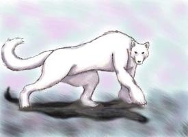 <img0*200:http://elftown.heddate.com/img/drawing/60827_1210694909.jpg>