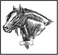 <img200*0:http://elftown.heddate.com/img/drawing/61691_1098443961.jpg>