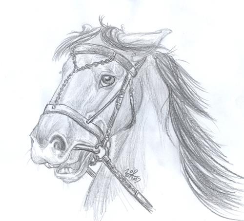 <img500*0:http://elftown.heddate.com/img/drawing/61691_1129416247.jpg>