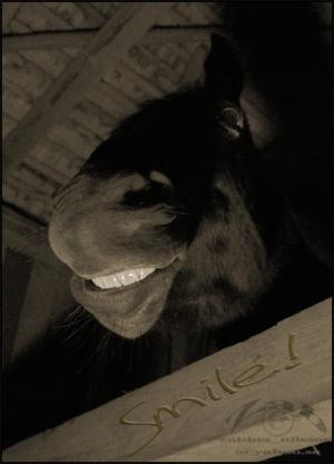 <img300*0:http://elftown.heddate.com/img/drawing/61691_1203968806.jpg>