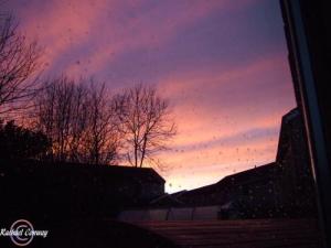 <img300*0:http://elftown.heddate.com/img/drawing/62985_1109185569.jpg>
