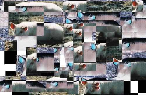<img:http://elftown.heddate.com/img/drawing/64323_1113876930.jpg>